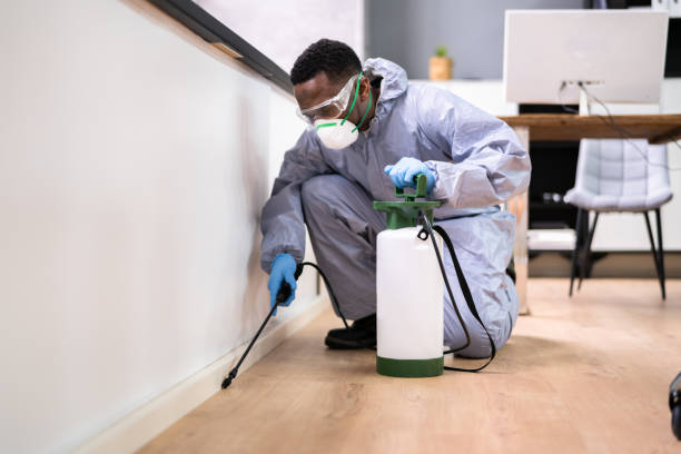 Best Real Estate Pest Inspections  in Leetsdale, PA